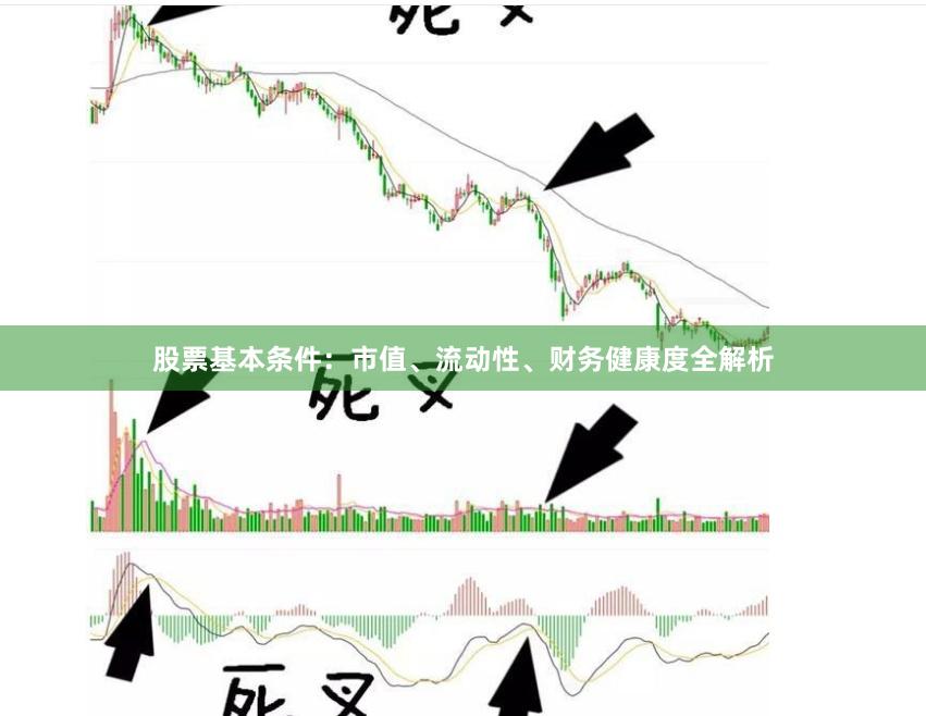 股票基本条件：市值、流动性、财务健康度全解析