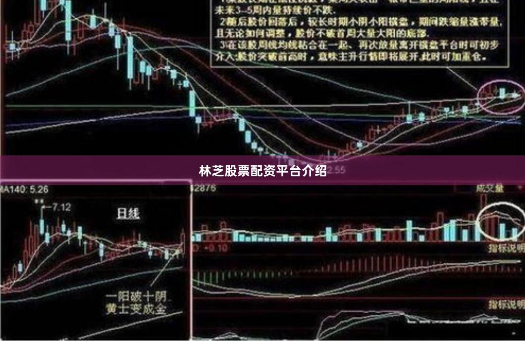 林芝股票配资平台介绍